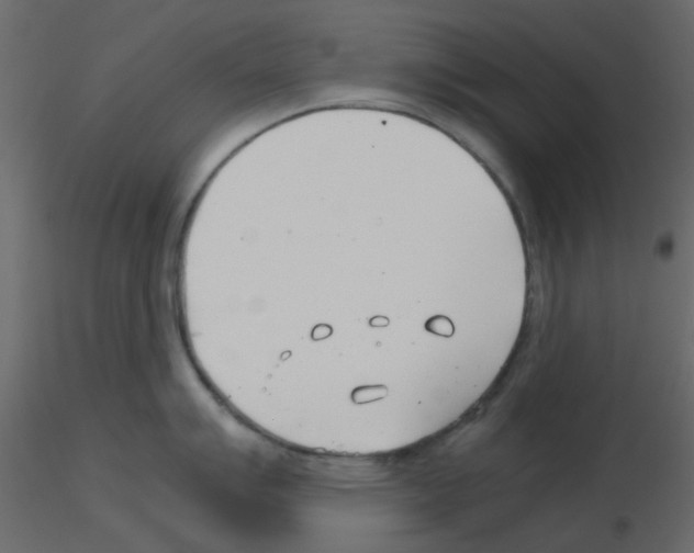 X0000115821007200912241931