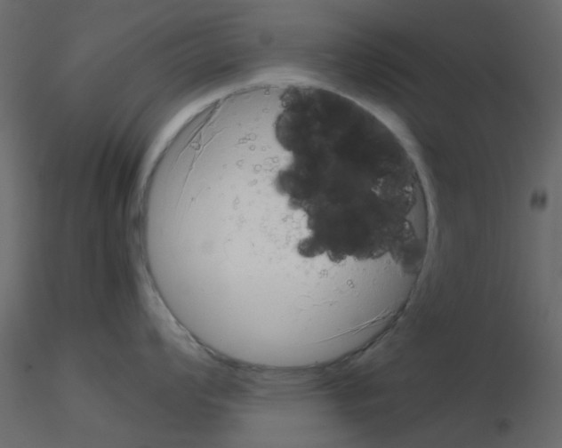 X0000115821008200912241931