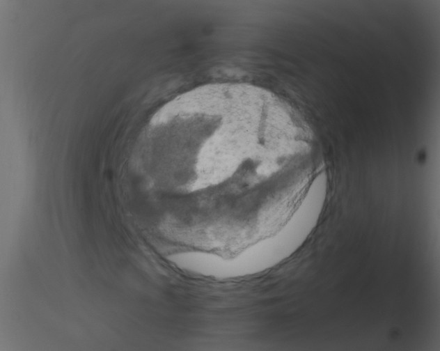 X0000115821009200912241930