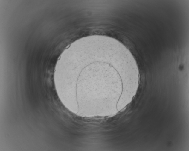 X0000115821010200912241930