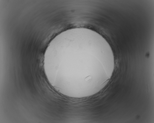 X0000115821012200912241930