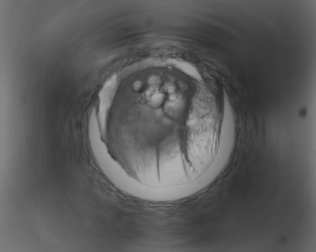 X0000115821013200912241930