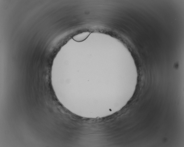 X0000115821016200912241930