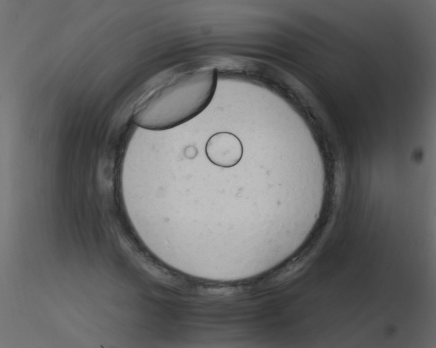 X0000115821017200912241930