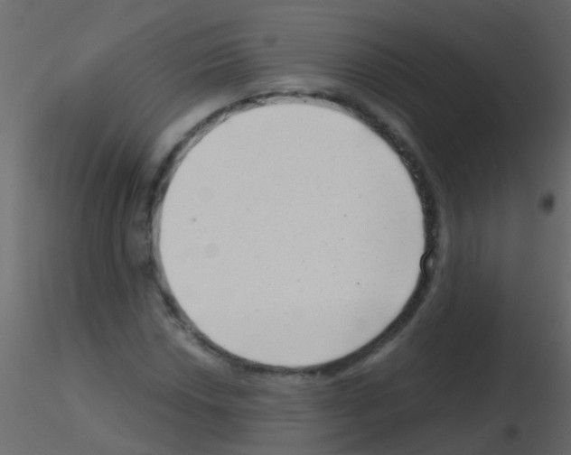 X0000115821018200912241930