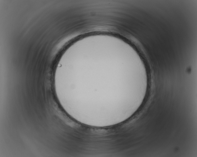 X0000115821019200912241930