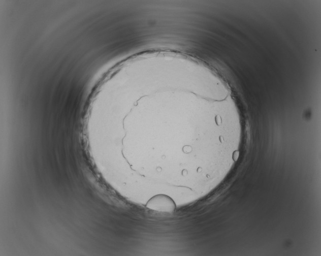 X0000115821020200912241930