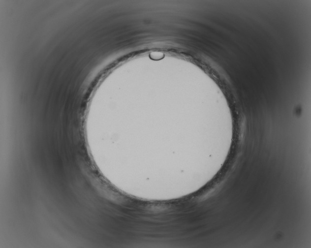 X0000115821021200912241930