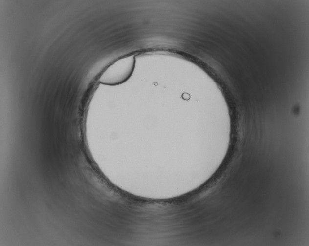 X0000115821022200912241930