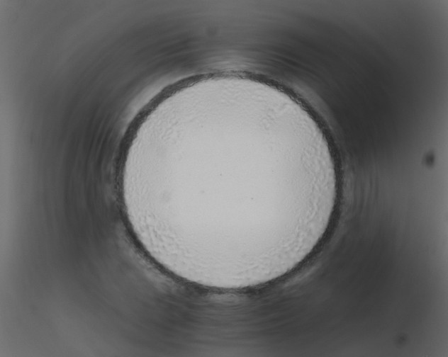 X0000115821023200912241930