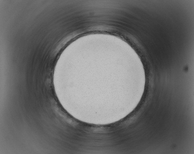 X0000115821025200912241930