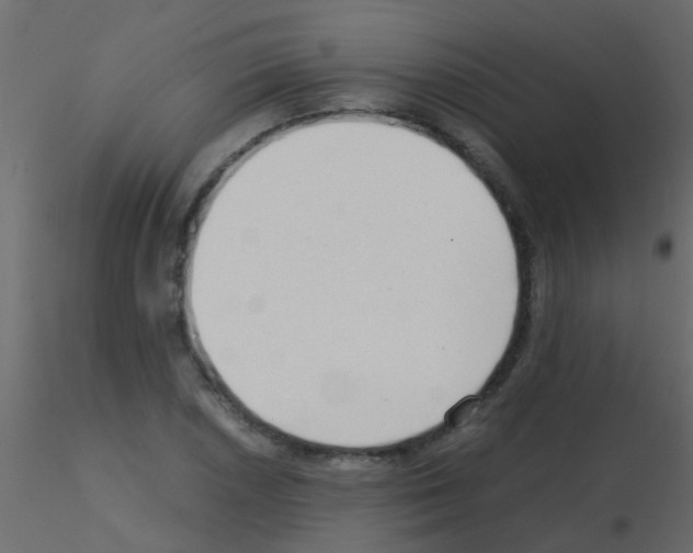 X0000115821026200912241930