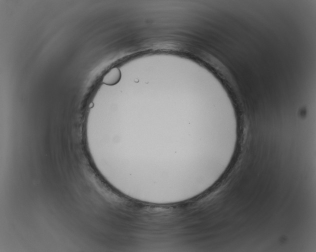 X0000115821027200912241930