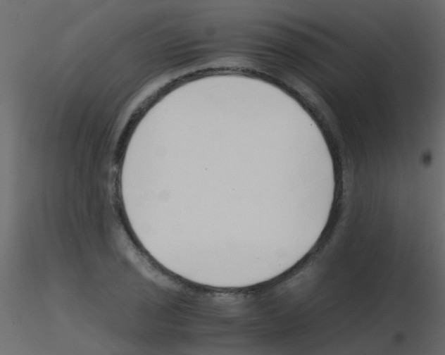 X0000115821029200912241931