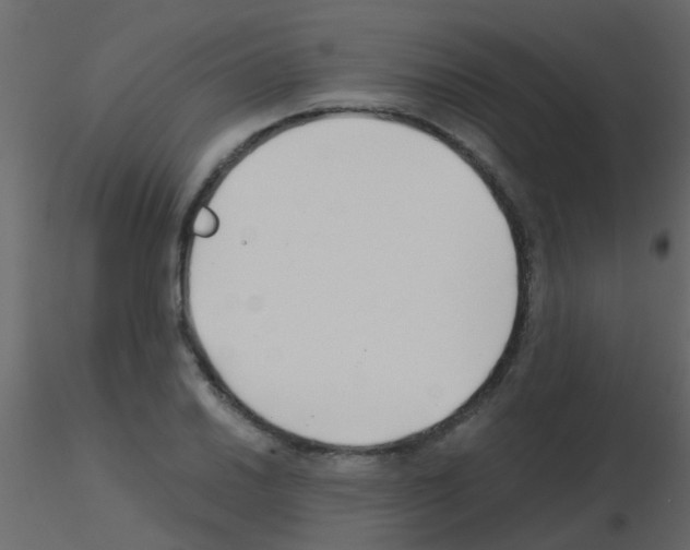 X0000115821030200912241931