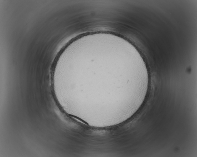 X0000115821031200912241931