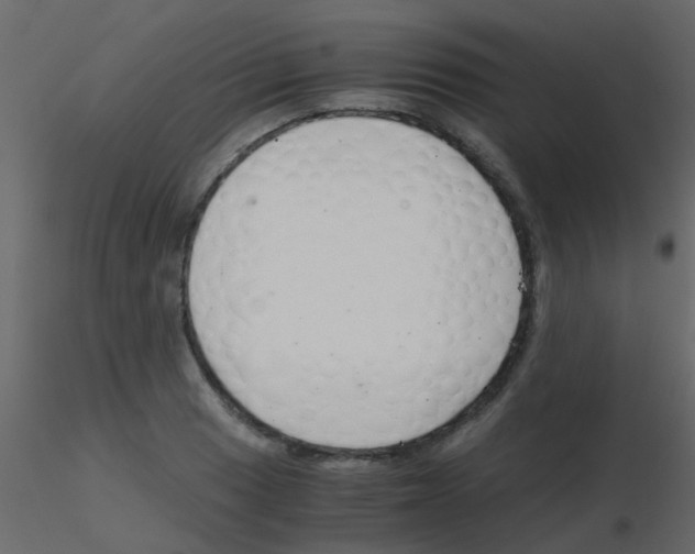 X0000115821033200912241931