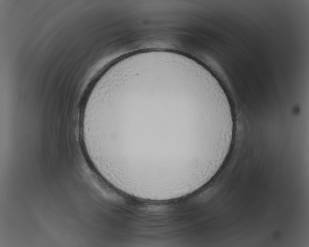 X0000115821035200912241931