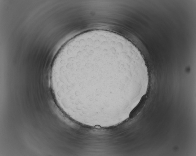 X0000115821036200912241931