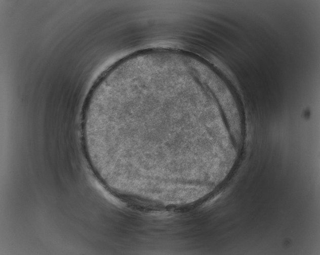 X0000115821037200912241931