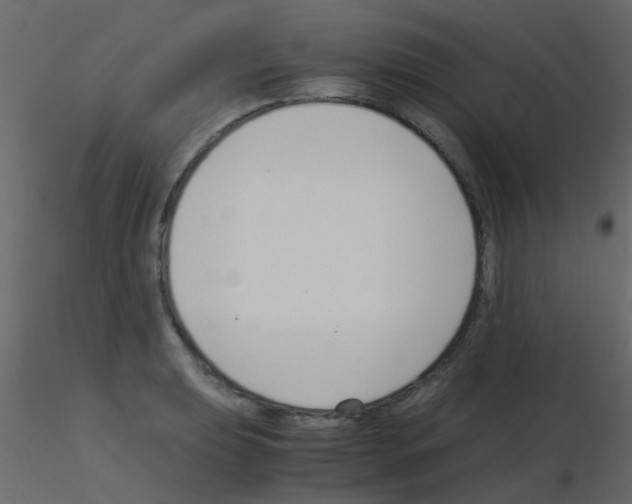 X0000115821039200912241931