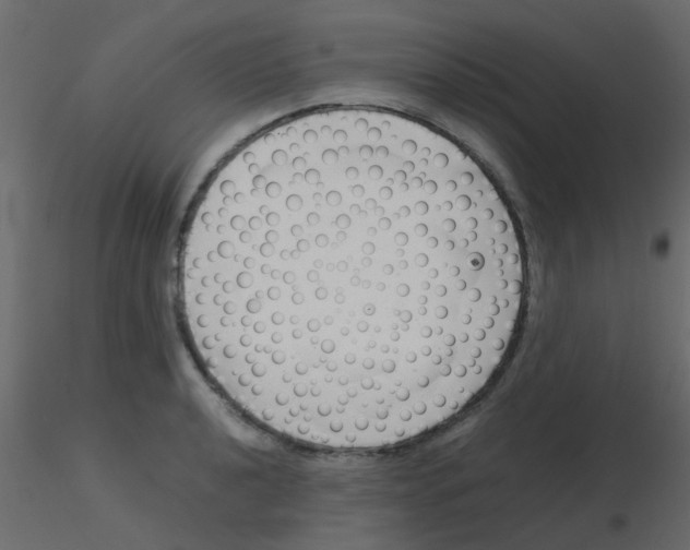 X0000115821040200912241931