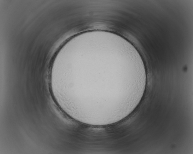 X0000115821043200912241931