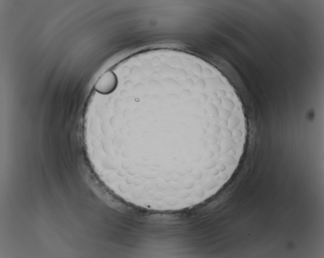 X0000115821044200912241931