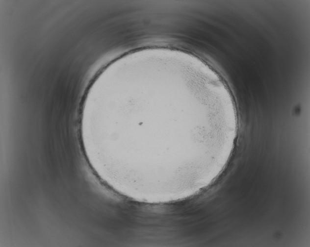 X0000115821045200912241931