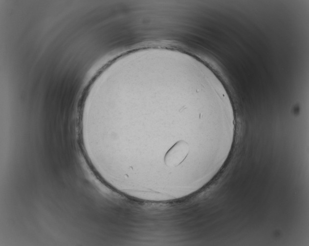 X0000115821046200912241931