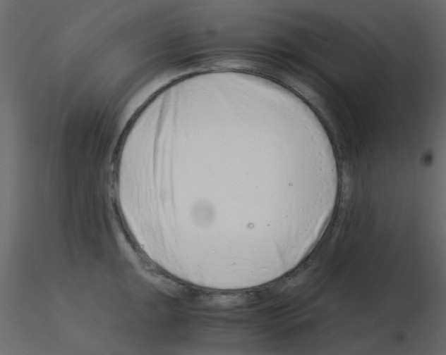 X0000115821047200912241931