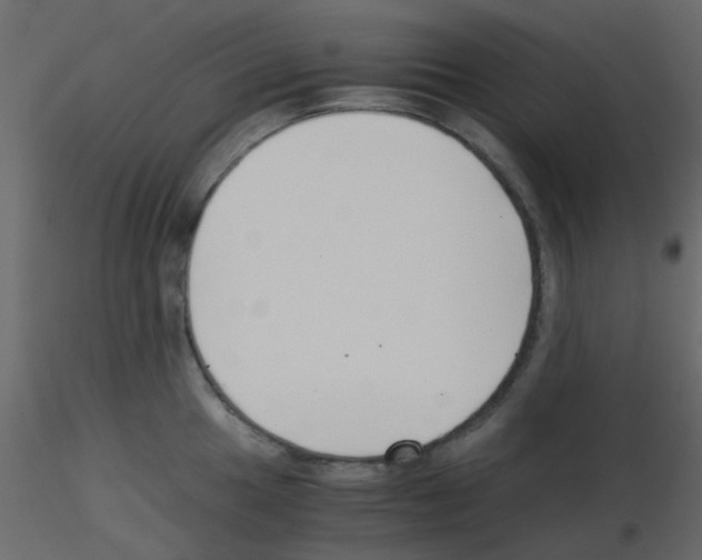 X0000115821049200912241931