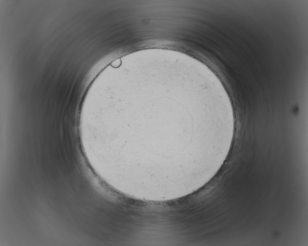 X0000115821050200912241931