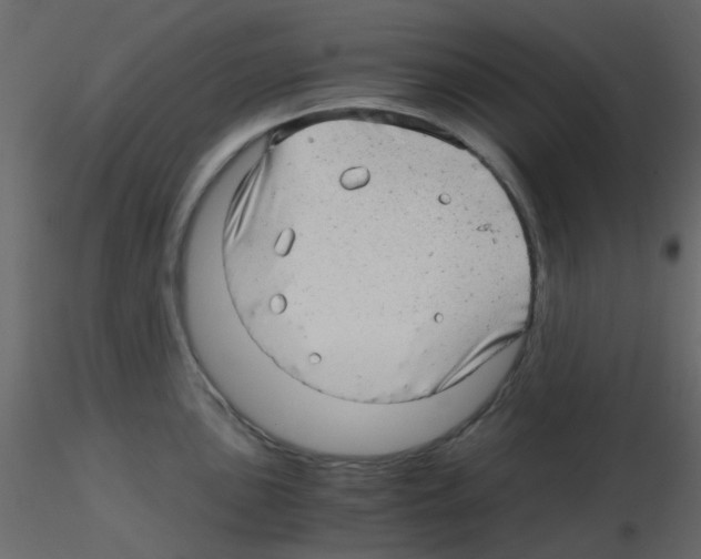 X0000115821051200912241931