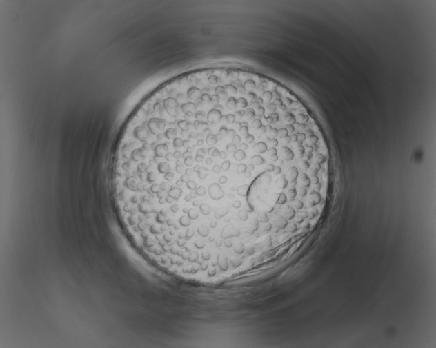 X0000115821054200912241931