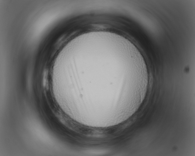 X0000115821055200912241931