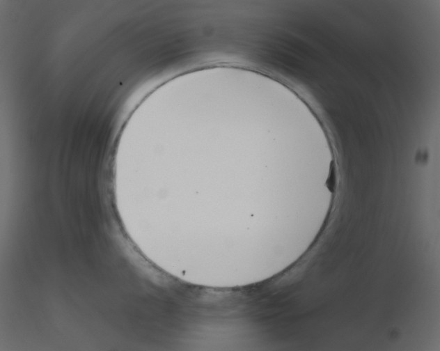 X0000115821056200912241931