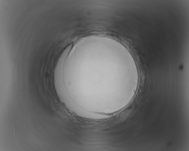 X0000115821057200912241930