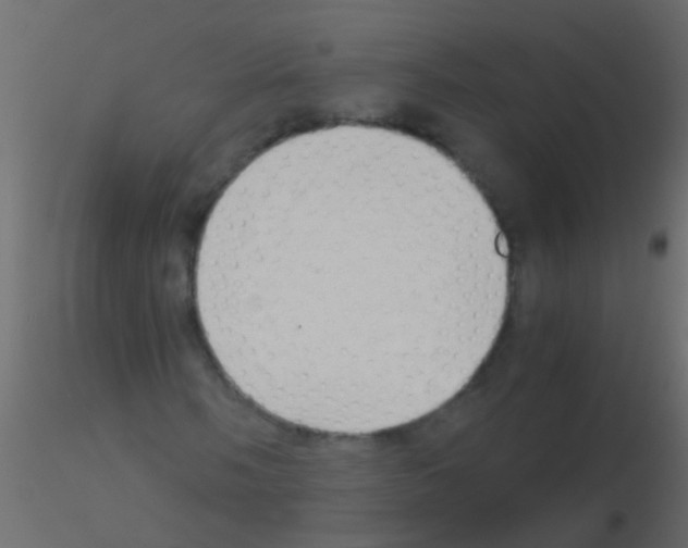 X0000115821058200912241930