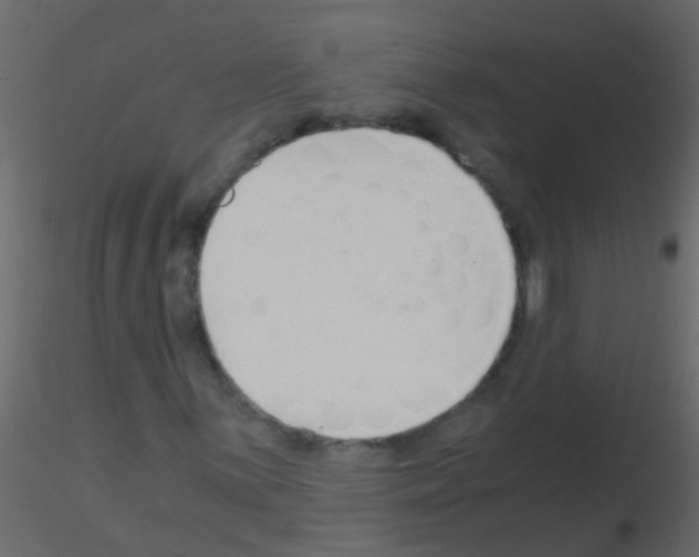 X0000115821059200912241930