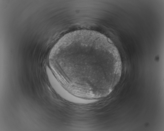 X0000115821060200912241930