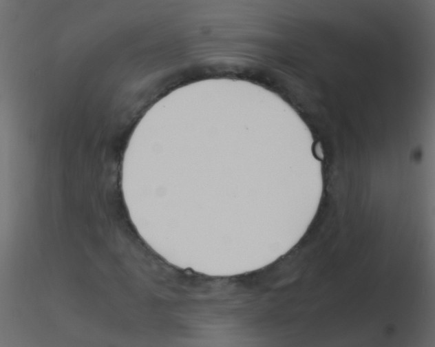 X0000115821061200912241930