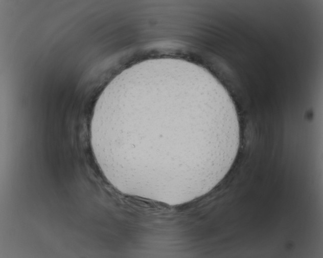 X0000115821062200912241930