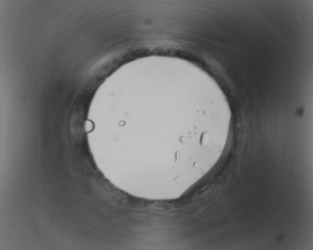 X0000115821063200912241930