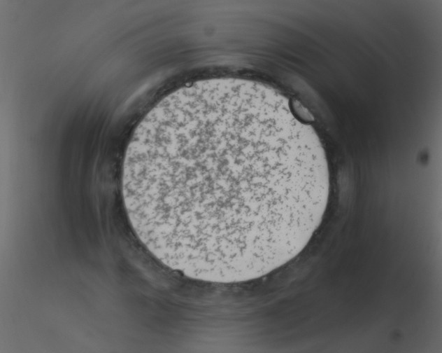 X0000115821064200912241930