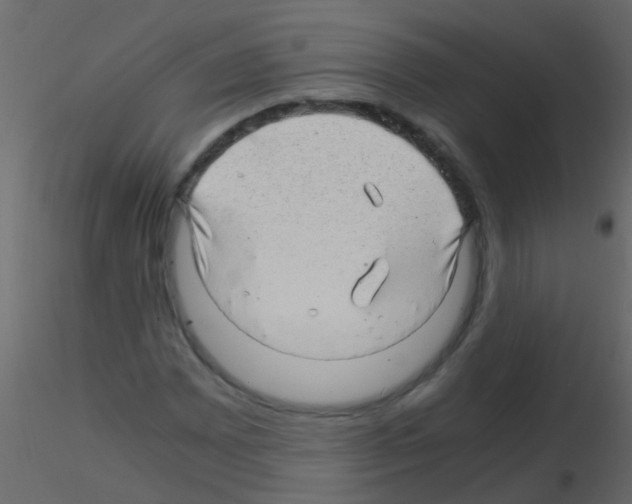 X0000115821065200912241930