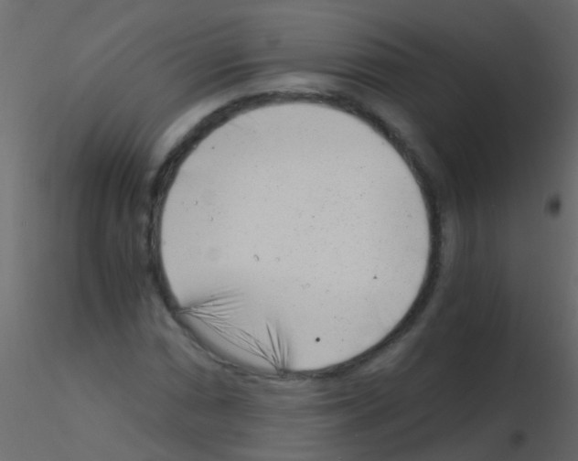 X0000115821066200912241930