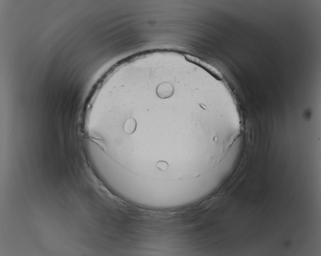 X0000115821068200912241930