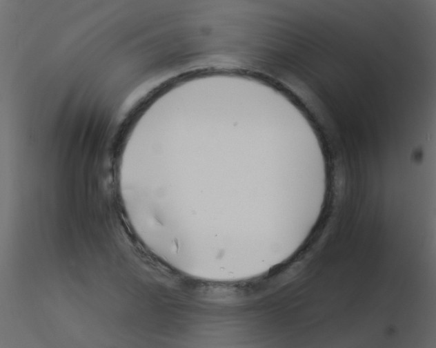 X0000115821070200912241930