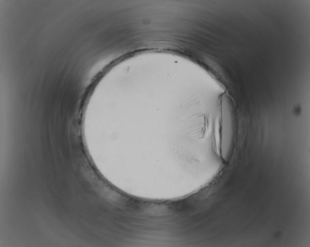 X0000115821071200912241930